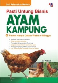 Budidaya Ayam Kampung Hanya 6 minggu panen