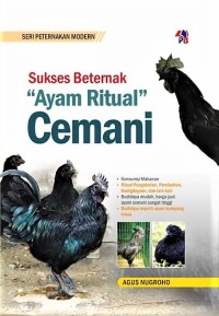 Sukses Beternak  Ayam Ritual 